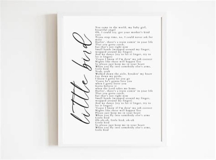 Uncover The Meaning Behind Little Bird Lyrics