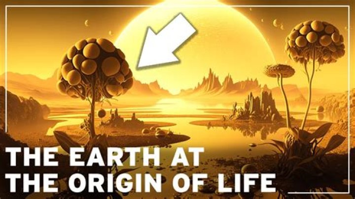 Uncovering The Origins Of A Motivational Icon