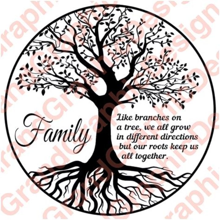 Understanding Brittany Griner's Parents: Family Roots And Background