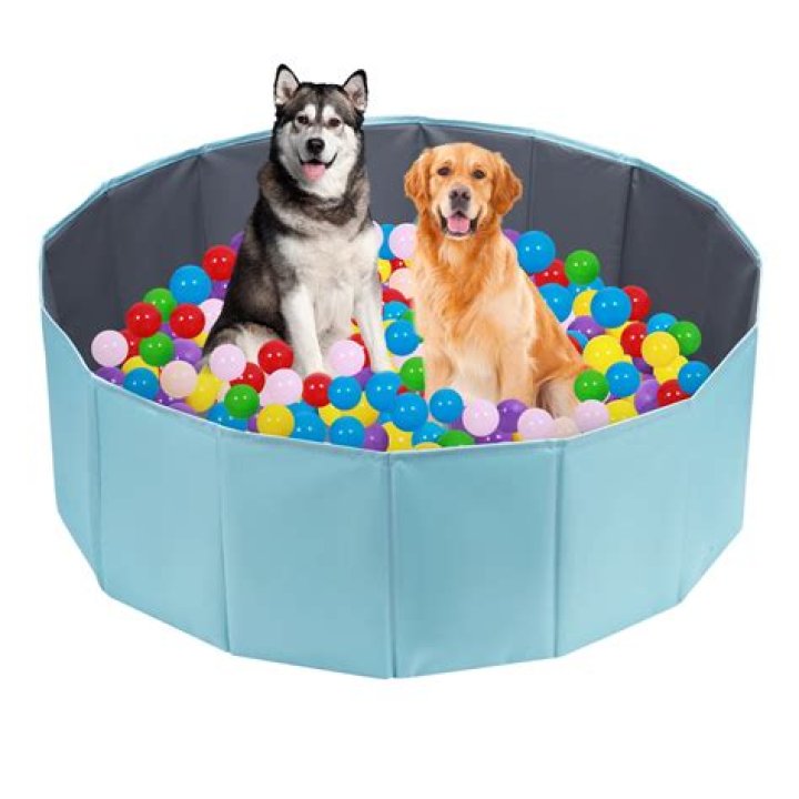 Unleash Your Dog's Inner Joy: Ultimate Dog Ball Pit Experience