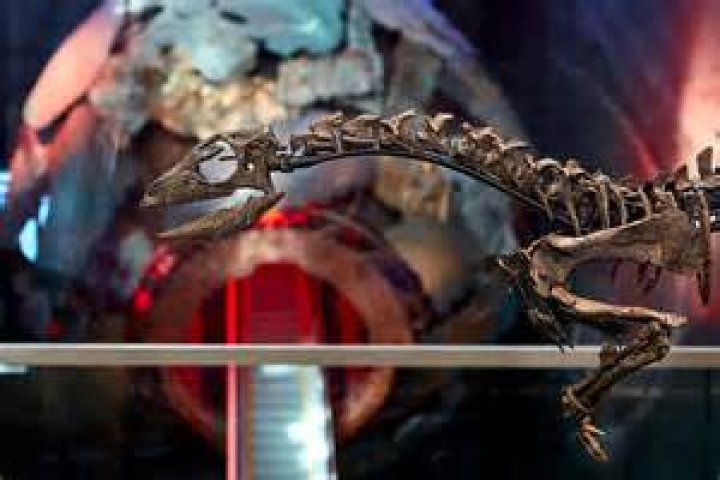 Unlocking The Enigma Of Jay Uso: Discoveries And Insights