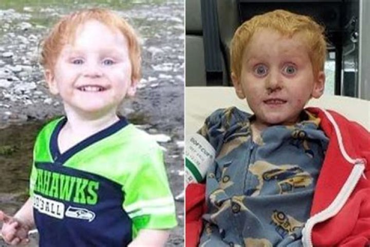 Unraveling Ryker Webb's Disappearance: Before And After