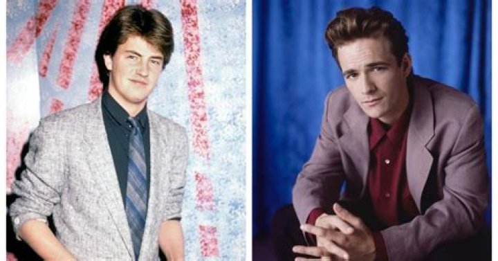 Which Celebs Are Related: Matthew Perry And Luke Perry