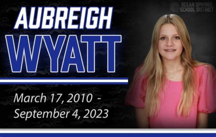 Who Are The Bullies Targeting Aubreigh Wyatt?