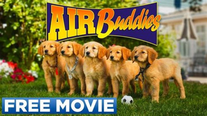Your Ultimate Guide To Murphy Buddies: The Perfect Companions For Outdoor Adventures